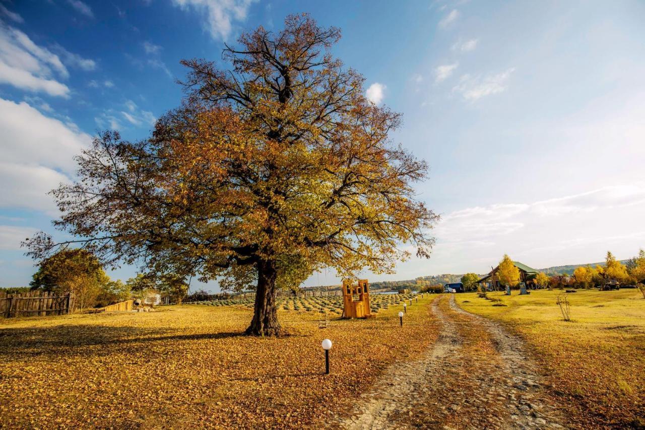 Country House Domik V Derevne Markovtsy  Ngoại thất bức ảnh