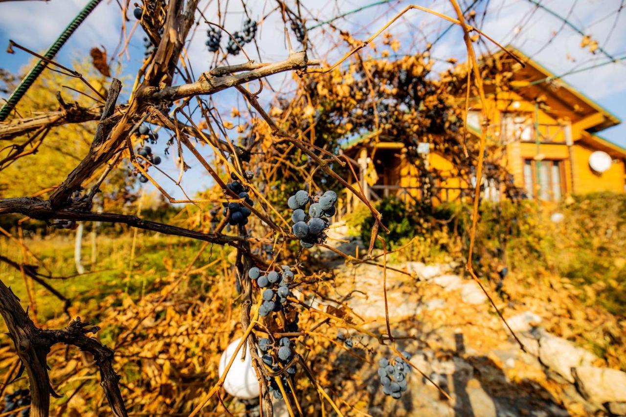 Country House Domik V Derevne Markovtsy  Ngoại thất bức ảnh