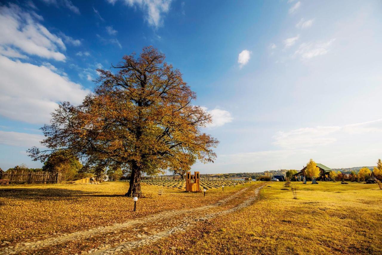 Country House Domik V Derevne Markovtsy  Ngoại thất bức ảnh